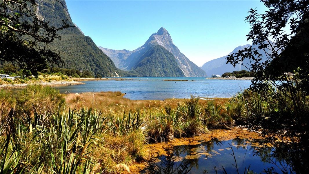 Exploring the Enchanting Beauty of New Zealand’s South Island